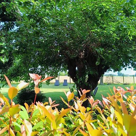 B&B Casa Del Bosco 圣米凯莱亚尔塔利亚门托 外观 照片