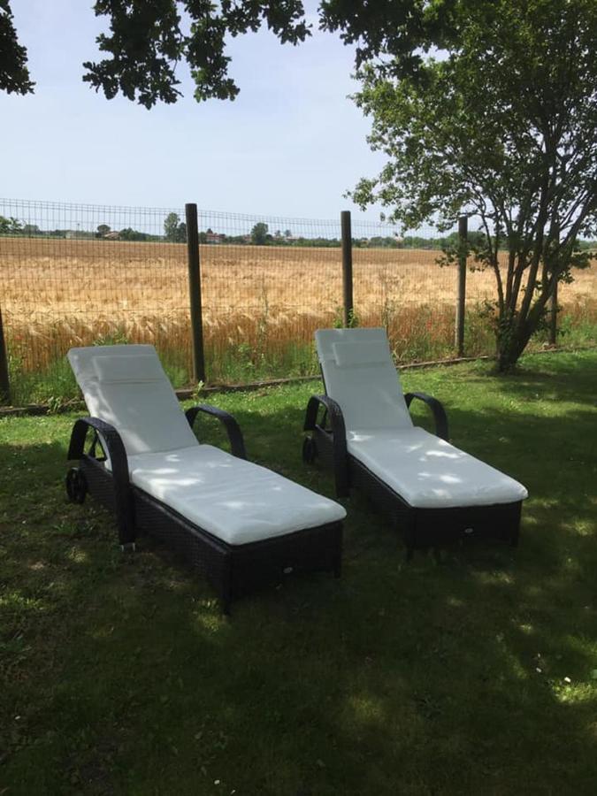 B&B Casa Del Bosco 圣米凯莱亚尔塔利亚门托 外观 照片